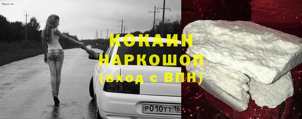 стаф Алексин
