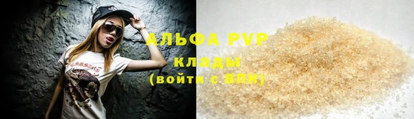 стаф Алексин