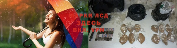 стаф Алексин