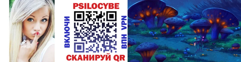 Псилоцибиновые грибы мицелий  блэк спрут онион  Шатура 