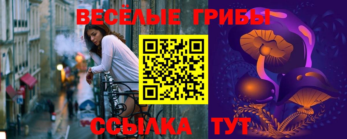Галлюциногенные грибы Psilocybine cubensis  купить  сайты  Шатура  Псилоцибиновые грибы мицелий  Вход с VPN 